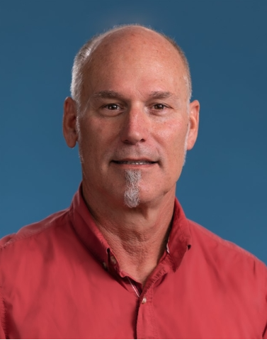 Ecosystem biogeochemistry considered as a distributed metabolic network ordered by maximum entropy production